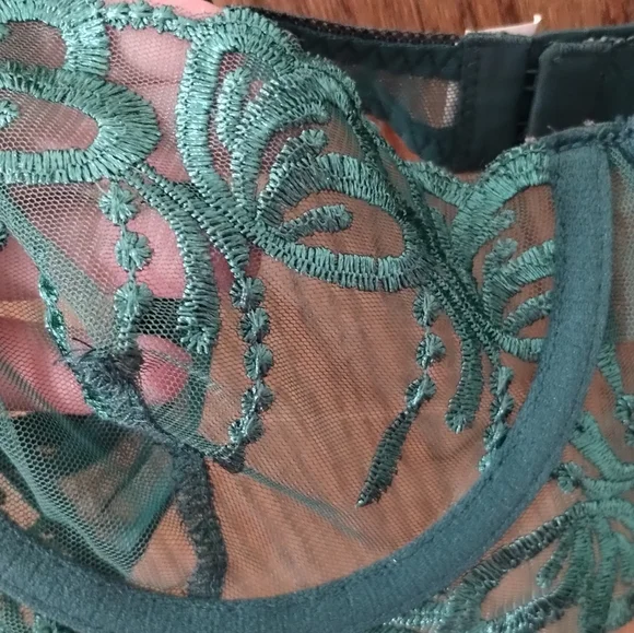 Green Lace and Mesh Bra with Underwire - Picture 7 of 7